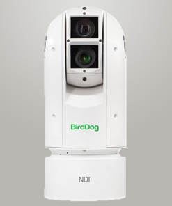BirdDog EYES A300 (NDI, SDI y HDMI)
