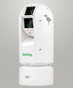 Alternative view of BirdDog EYES A300 (NDI, SDI y HDMI)