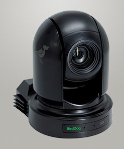 BirdDog EYES P200