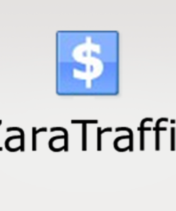 Zara Traffic